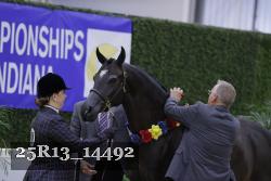 25R13_14492 thumbnail