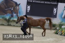 25R13_14498 thumbnail