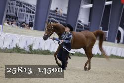 25R13_14500 thumbnail