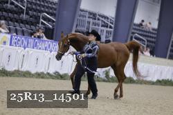 25R13_14501 thumbnail