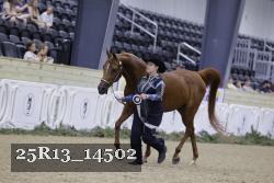 25R13_14502 thumbnail