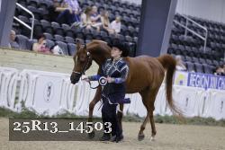 25R13_14503 thumbnail
