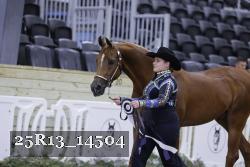 25R13_14504 thumbnail