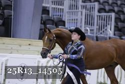 25R13_14505 thumbnail