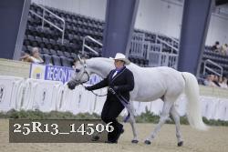 25R13_14506 thumbnail