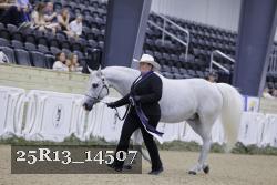 25R13_14507 thumbnail