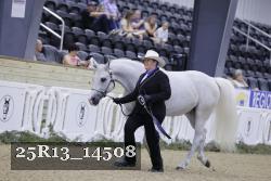 25R13_14508 thumbnail