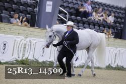 25R13_14509 thumbnail