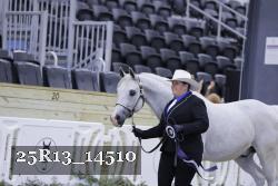 25R13_14510 thumbnail