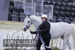 25R13_14511 thumbnail