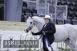 25R13_14512 thumbnail