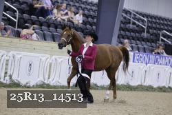 25R13_14513 thumbnail