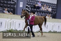 25R13_14514 thumbnail