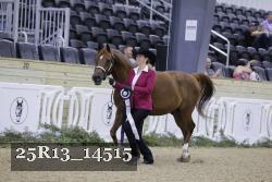 25R13_14515 thumbnail