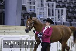 25R13_14516 thumbnail