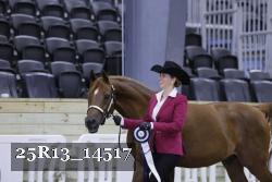 25R13_14517 thumbnail