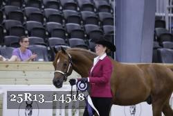 25R13_14518 thumbnail