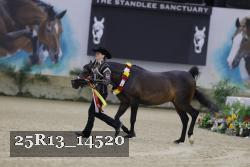 25R13_14520 thumbnail