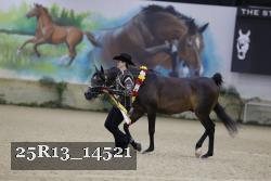 25R13_14521 thumbnail