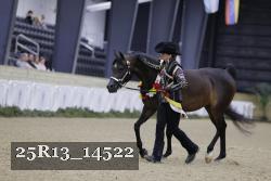 25R13_14522 thumbnail