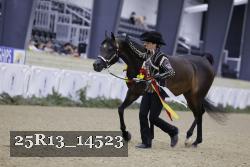 25R13_14523 thumbnail