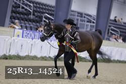 25R13_14524 thumbnail