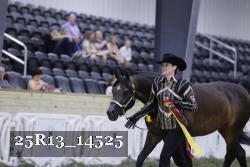 25R13_14525 thumbnail