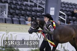 25R13_14526 thumbnail