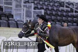 25R13_14527 thumbnail
