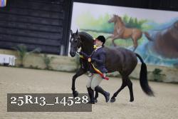 25R13_14528 thumbnail