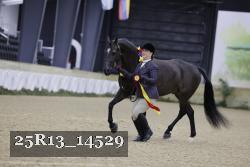 25R13_14529 thumbnail