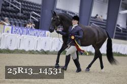 25R13_14531 thumbnail
