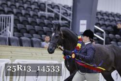 25R13_14533 thumbnail