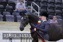 25R13_14535 thumbnail