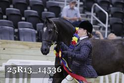 25R13_14536 thumbnail