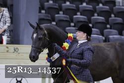 25R13_14537 thumbnail