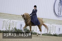 25R13_14538 thumbnail