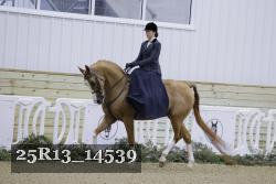 25R13_14539 thumbnail