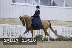 25R13_14540 thumbnail