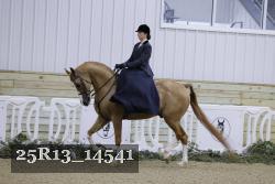 25R13_14541 thumbnail