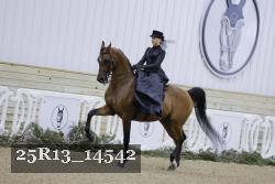 25R13_14542 thumbnail