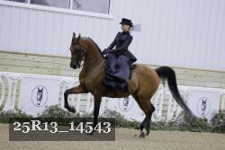 25R13_14543 thumbnail