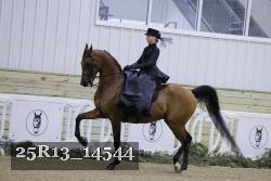 25R13_14544 thumbnail