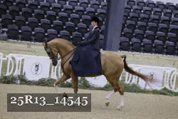 25R13_14545 thumbnail