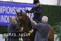 25R13_14548 thumbnail
