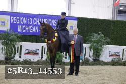 25R13_14553 thumbnail