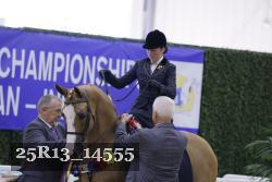 25R13_14555 thumbnail