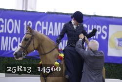 25R13_14560 thumbnail
