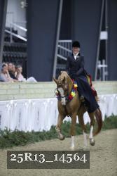 25R13_14564 thumbnail