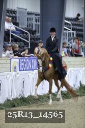 25R13_14565 thumbnail